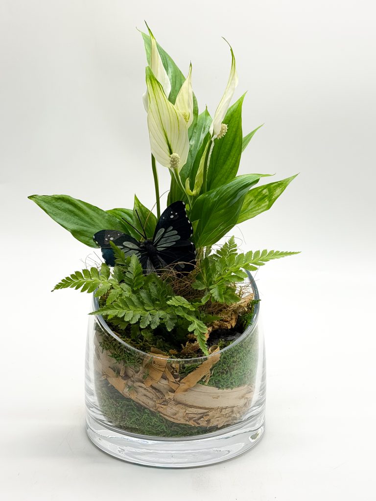 Gotowa kompozycja roślinna w szkle - zdjęcie z galerii 1