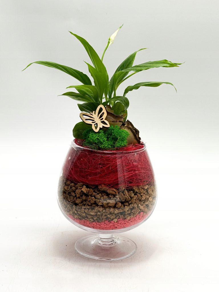 Kompozycja roślinna w kielichu szklanym - zdjęcie z galerii 3