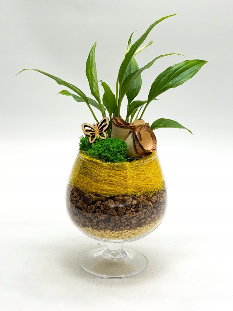 Kompozycja roślinna w kielichu szklanym - zdjęcie z galerii 4