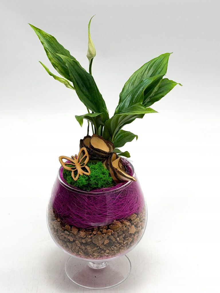 Kompozycja roślinna w kielichu szklanym - zdjęcie z galerii 2