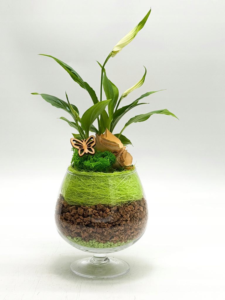 Kompozycja roślinna w kielichu szklanym - zdjęcie z galerii 9