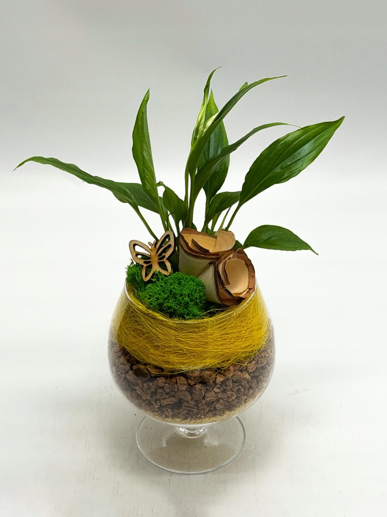 Kompozycja roślinna w kielichu szklanym - zdjęcie z galerii 1