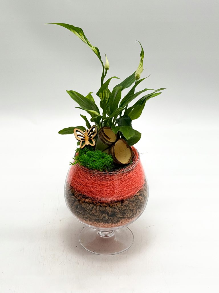 Kompozycja roślinna w kielichu szklanym - zdjęcie z galerii 8