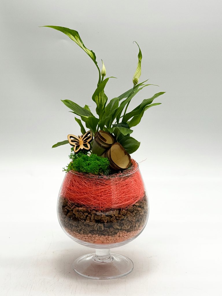 Kompozycja roślinna w kielichu szklanym - zdjęcie z galerii 7