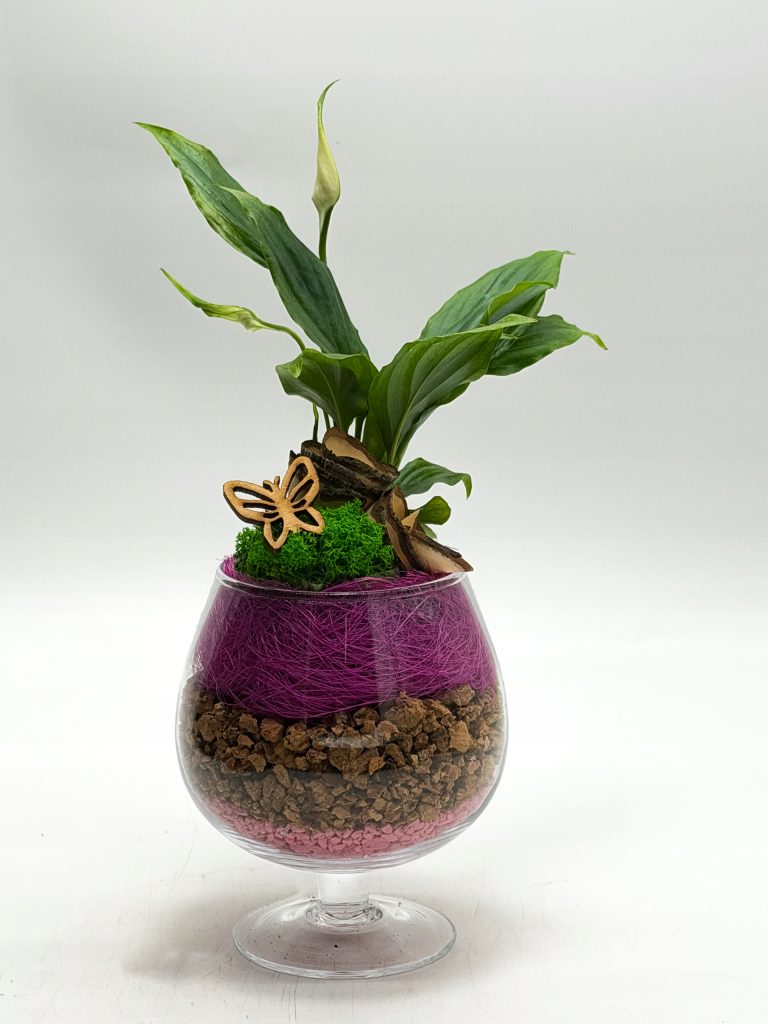 Kompozycja roślinna w kielichu szklanym - zdjęcie z galerii 6