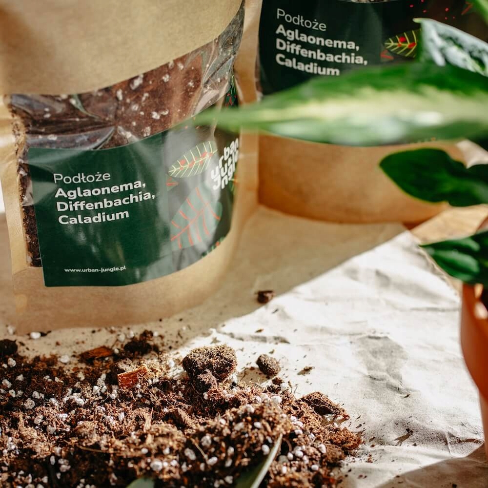 Podłoże Urban Jungle Aglaonema, Diffenbachia, Caladium | Bigos 3l - zdjęcie z galerii 1